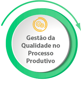 gestao da qualidade no processo produtivo industria ciencias da vida